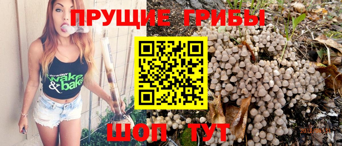 Псилоцибиновые грибы Cubensis  Псилоцибиновые грибы Psilocybe  наркота  Вход с VPN  Реж 