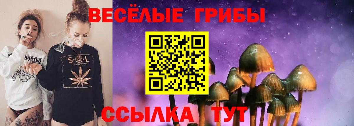 Галлюциногенные грибы MAGIC MUSHROOMS Реж